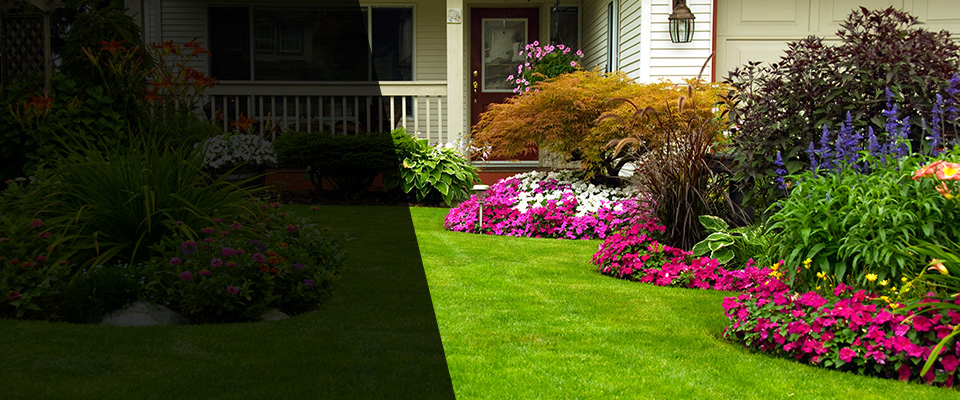 Arcola Landscapers