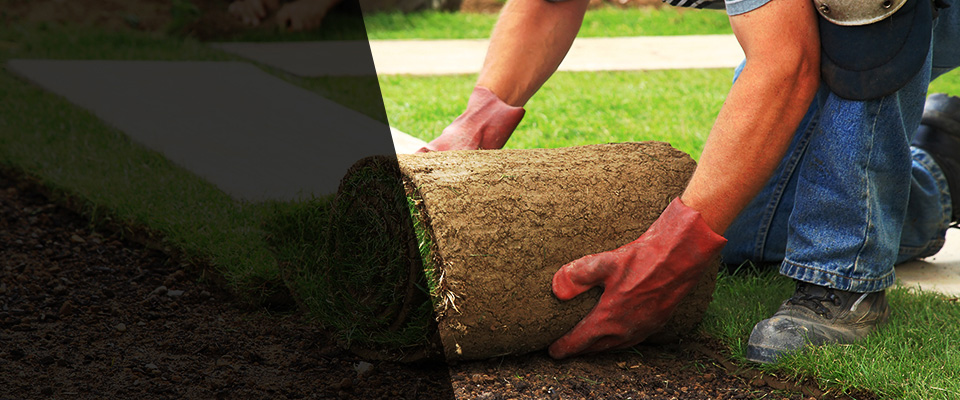 Arcola Landscapers
